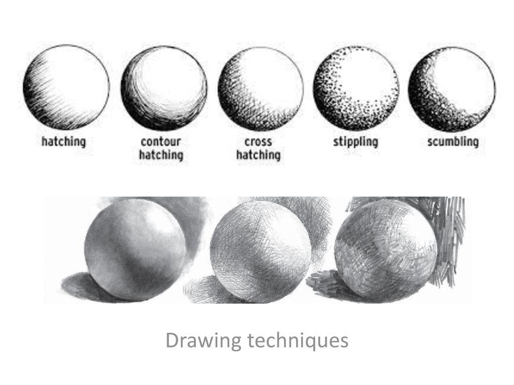 Natural Forms Strand 3 Drawing Natural Forms. ppt download